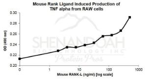 Mouse recombinant RANK ligand (from <i>E. coli</i>)