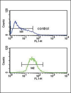 Anti-KIR3DL2 Rabbit Polyclonal Antibody (FITC (Fluorescein Isothiocyanate))