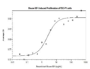 Mouse recombinant IGF-I (from <i>E. coli</i>)