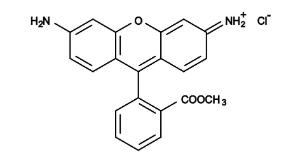 Rhodamine 123 22210 25 mg