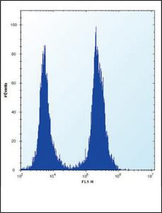 Anti-SLC16A10 Rabbit Polyclonal Antibody (PE (Phycoerythrin))