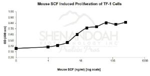 Mouse recombinant SCF (from <i>E. coli</i>)