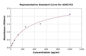 Representative standard curve for Human SIRT2 ELISA kit (A302743)