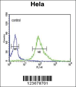 Anti-DDX49 Rabbit Polyclonal Antibody