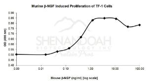 Mouse recombinant NGF-beta (from <i>E. coli</i>)