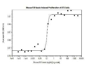 Recombinant mouse FGF-basic