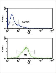 Anti-Proprotein Convertase Subtilisin Kexin 9 Rabbit Polyclonal Antibody (FITC (Fluorescein))