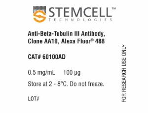 Anti-Beta-Tubulin III antibody, spectrum AA10, Alexa Fluor® 488