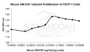 Mouse recombinant GM-CSF (from <i>E. coli</i>)