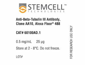 Anti-Beta-Tubulin III antibody, spectrum AA10, Alexa Fluor® 488