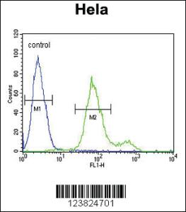 Anti-SUMF1 Rabbit Polyclonal Antibody