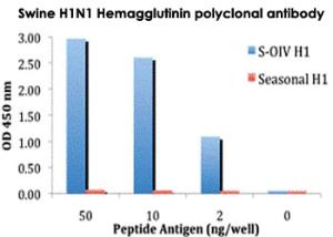 Anti-Swine H1N1 Hemagglutinin Rabbit Polyclonal Antibody