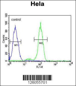 Anti-PTPLB Rabbit Polyclonal Antibody (HRP (Horseradish Peroxidase))