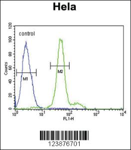 Anti-ELOVL5 Rabbit Polyclonal Antibody