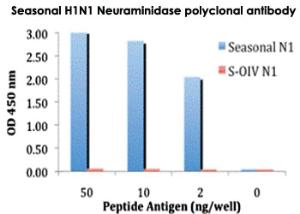 Anti-Seasonal H1N1 Neuraminidase Rabbit Polyclonal Antibody