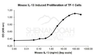 Mouse recombinant IL-13 (from <i>E. coli</i>)