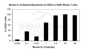 Mouse recombinant IL-12 (from HEK293 cells)