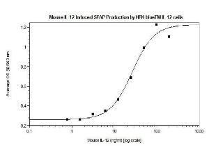 Mouse recombinant IL-12 (from HEK293 cells)