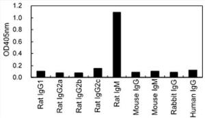 ELISA for cross-reactivity of 161608B08H to various immunoglobulins