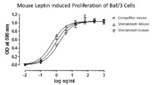 Mouse recombinant Leptin (from <i>E. coli</i>)