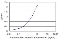 Anti-RALBP1 Antibody Pair