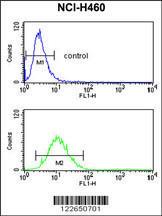 Anti-SLC25A17 Rabbit Polyclonal Antibody (APC (Allophycocyanin))