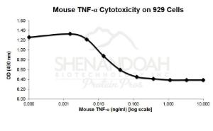 Recombinant mouse TNF-alpha