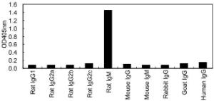 ELISA for cross-reactivity of 161608B08H to various immunoglobulins