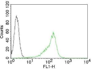 Antibody A250940-100 100 µg