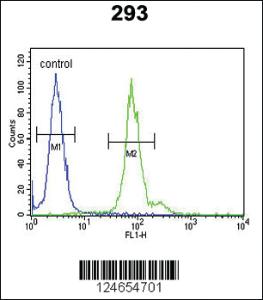 Anti-ID4 Rabbit Polyclonal Antibody [clone: 384CT24.1.3.4]