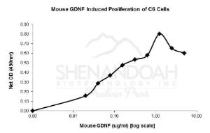 Mouse recombinant GDNF (from <i>E. coli</i>)