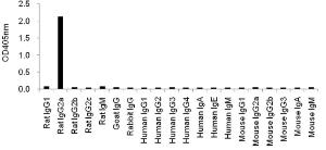 Cross-reactivity for KT150 to other immunoglobulins