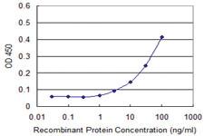 Anti-CCNL1 Mouse Monoclonal Antibody [clone: 1F7-1C5]