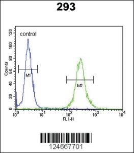 Anti-CD79A Rabbit Polyclonal Antibody