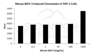 Mouse recombinant MCP-3/CCL7 (from <i>E. coli</i>)