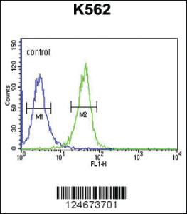 Anti-DNAJC6 Rabbit Polyclonal Antibody