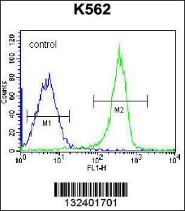 Anti-KRT12 Rabbit Polyclonal Antibody (HRP (Horseradish Peroxidase))