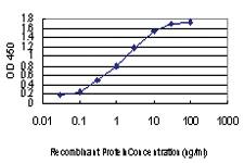 Anti-PRPF3 Mouse Monoclonal Antibody [clone: 3H6]