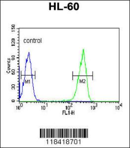 Anti-KRT9 Rabbit Polyclonal Antibody (APC (Allophycocyanin))