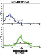 Anti-FTO Rabbit Polyclonal Antibody