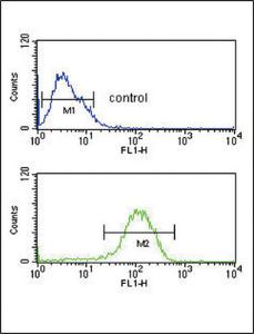 Anti-PYY Rabbit Polyclonal Antibody (HRP (Horseradish Peroxidase))