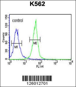 Anti-KRTAP1-1 Rabbit Polyclonal Antibody (FITC (Fluorescein Isothiocyanate))