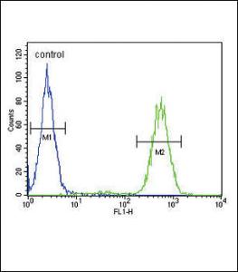 Anti-SLC25A37 Rabbit Polyclonal Antibody (FITC (Fluorescein Isothiocyanate))