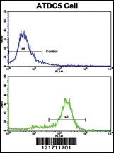 Anti-MSRB2 Rabbit Polyclonal Antibody