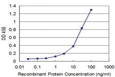 Anti-ADAMDEC1 Mouse Monoclonal Antibody [clone: 1G2]