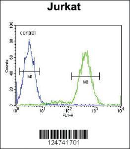 Anti-IMMP2L Rabbit Polyclonal Antibody [clone: 429CT16.3.1]