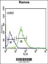 Anti-PHTNS Rabbit Polyclonal Antibody