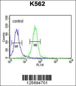 Anti-EFR3A Rabbit Polyclonal Antibody (FITC (Fluorescein Isothiocyanate))