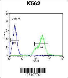 Anti-KCNH4 Rabbit Polyclonal Antibody (APC (Allophycocyanin))