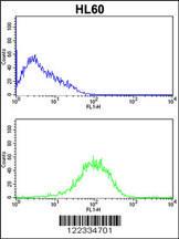 Anti-PSMB9 Rabbit Polyclonal Antibody (APC (Allophycocyanin))